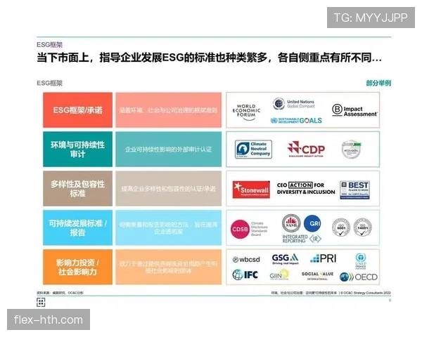 维拉未来发展趋势分析：聚焦可持续增长与人才培养的挑战与机遇